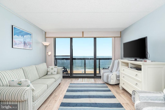 10900 Coastal Hwy Unit 805, Ocean City, MD 21842 - living room featuring light wood-style floors, healthy amount of natural light, and a textured ceiling