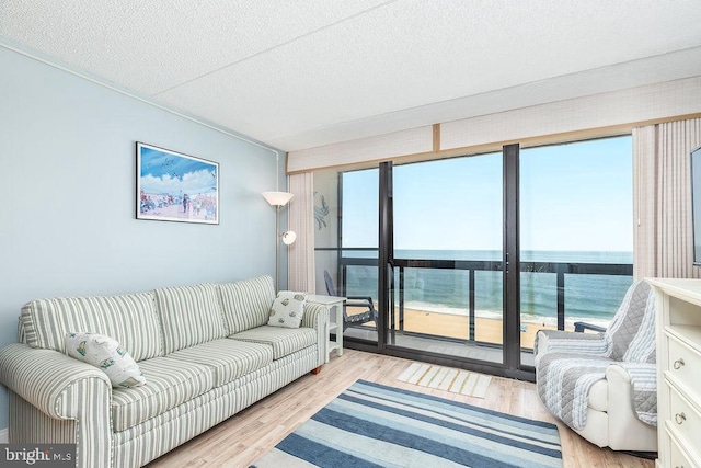 10900 Coastal Hwy Unit 805, Ocean City, MD 21842 - living room with wood finished floors and a textured ceiling
