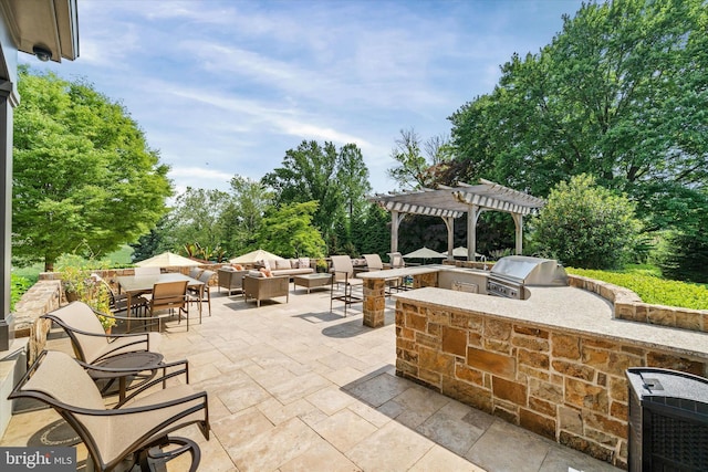 101 Greenspring Rd, Wilmington, DE 19807 - view of patio / terrace with an outdoor kitchen, a pergola, an outdoor hangout area, outdoor dining area, and view of scattered trees