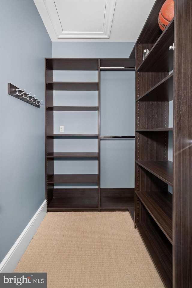 101 Greenspring Rd, Wilmington, DE 19807 - view of walk in closet