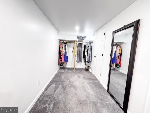 106 Killoran Dr, New Castle, DE 19720 - spacious closet with carpet flooring