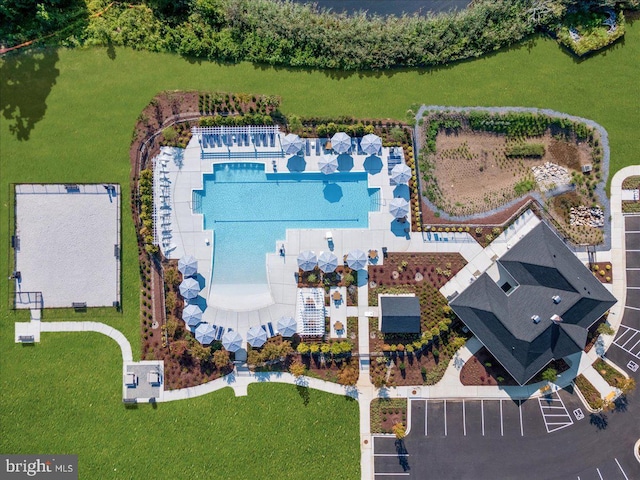 bird's eye view of a pool area