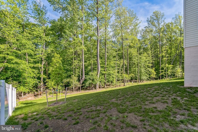 view of yard