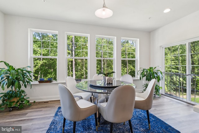 view of sunroom