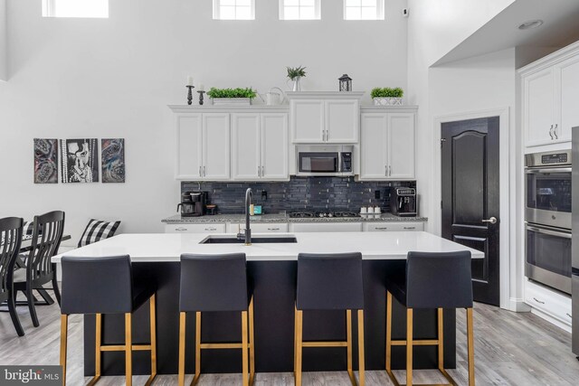 22378 Mahogany Rd, Milton, DE 19968 - kitchen with a sink, stainless steel appliances, a towering ceiling, light countertops, and backsplash