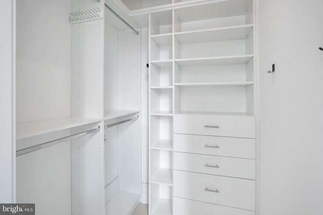 view of walk in closet