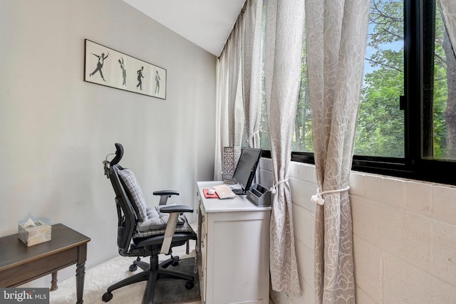 1951 Sagewood Ln Unit 118, Reston, VA 20191 - office area with plenty of natural light and carpet