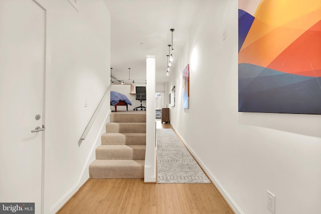 1390 V St NW Unit 309, Washington, DC 20009 - corridor featuring light wood finished floors and baseboards