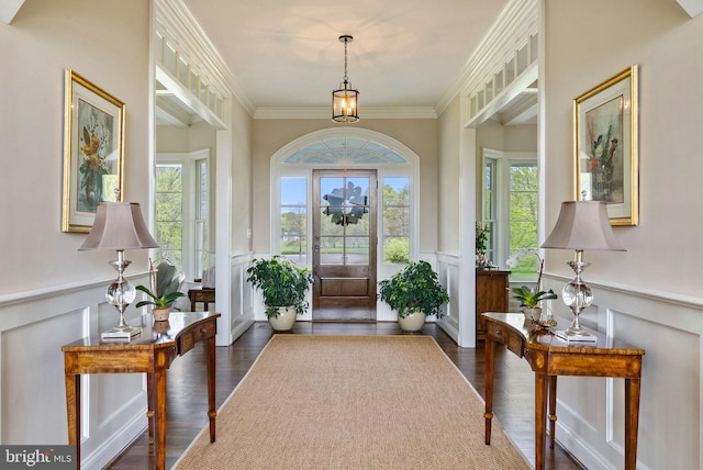 entryway with a decorative wall, a wainscoted wall, plenty of natural light, ornamental molding, and dark wood-style floors