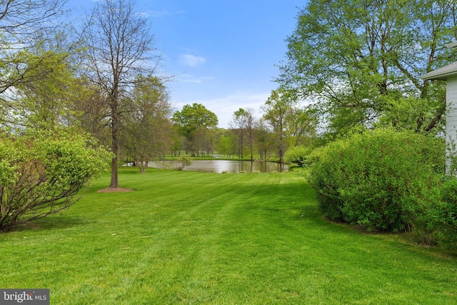 view of green lawn with a water view