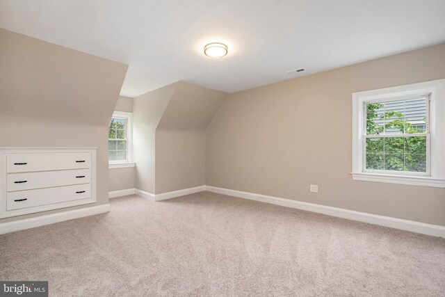 5311 Herring Run Dr, Baltimore, MD 21214 - additional living space with carpet, baseboards, and lofted ceiling