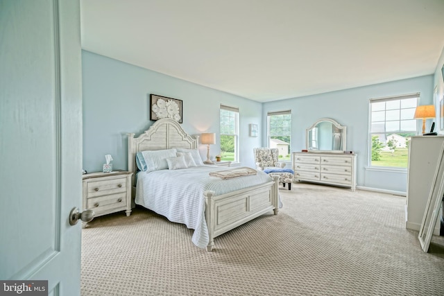 24928 Rivers Edge Rd, Millsboro, DE 19966 - carpeted bedroom featuring multiple windows