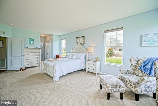 24928 Rivers Edge Rd, Millsboro, DE 19966 - bedroom with light carpet and a closet