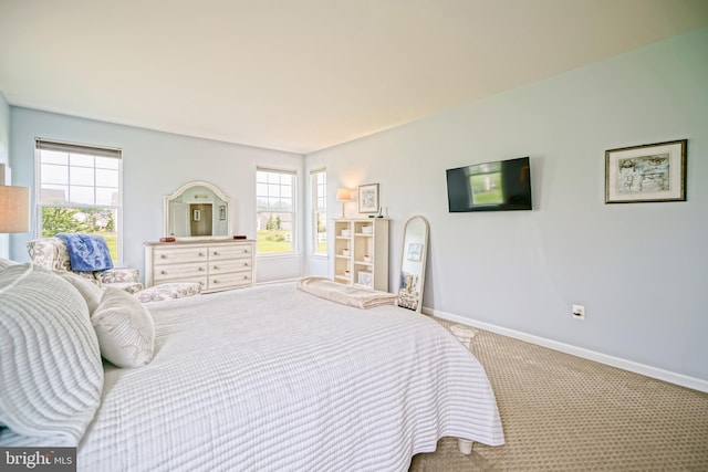 24928 Rivers Edge Rd, Millsboro, DE 19966 - bedroom with carpet and baseboards