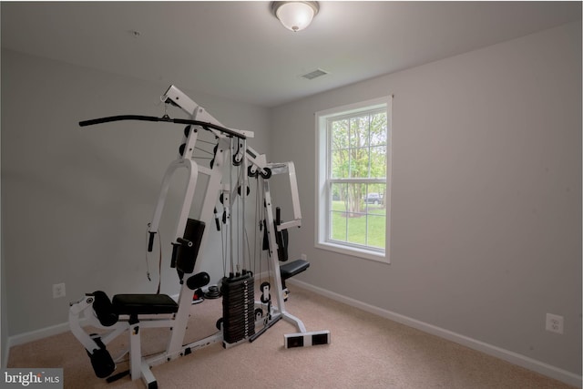 workout area featuring baseboards and carpet flooring