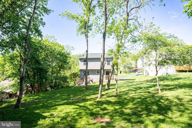 view of grassy yard