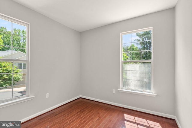spare room with plenty of natural light, hardwood / wood-style flooring, and baseboards
