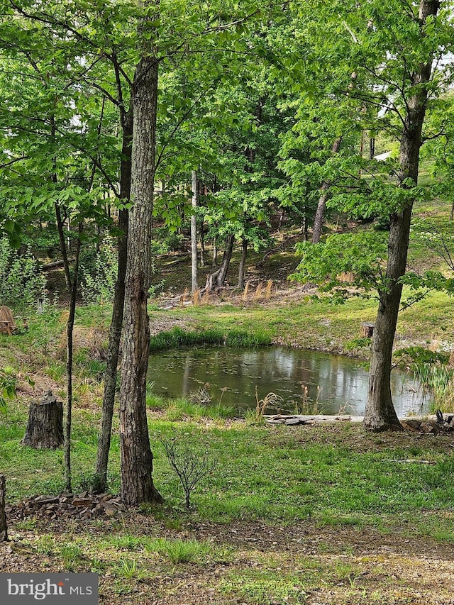 79 Whiskey Still Rd, Berkeley Springs, WV 25411 - water view