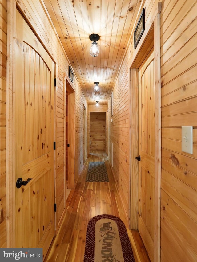 79 Whiskey Still Rd, Berkeley Springs, WV 25411 - hallway featuring wood walls and light wood-style floors