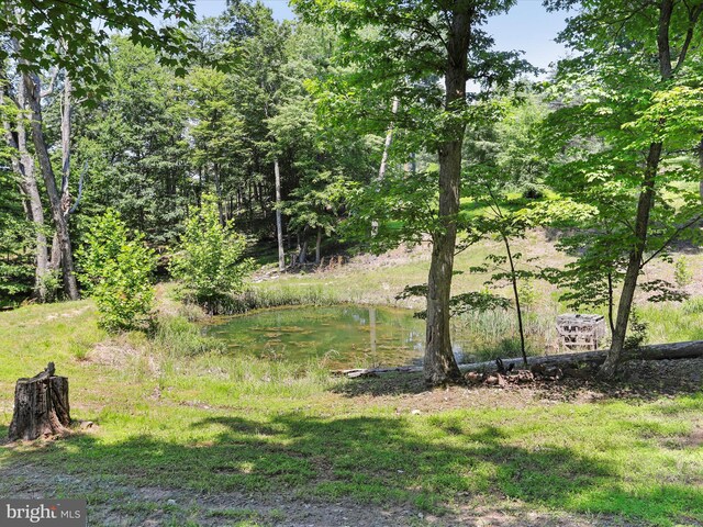 79 Whiskey Still Rd, Berkeley Springs, WV 25411 - view of yard