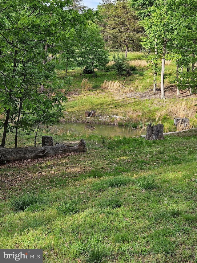 79 Whiskey Still Rd, Berkeley Springs, WV 25411 - view of yard