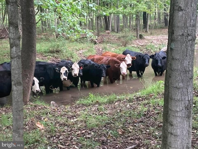 840 Falconwood Dr, Paw Paw WV, 25434 land for sale