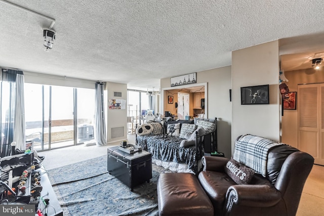 living area with a textured ceiling and carpet floors