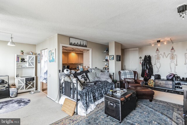 1326 Spruce St Unit 2906, Philadelphia, PA 19107 - living room with carpet floors and a textured ceiling