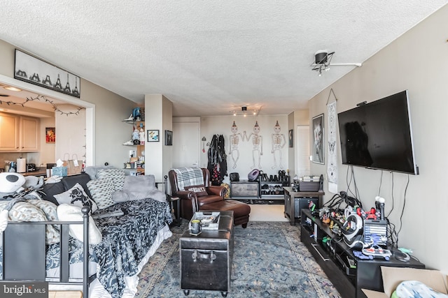 living room with a textured ceiling and a ceiling fan