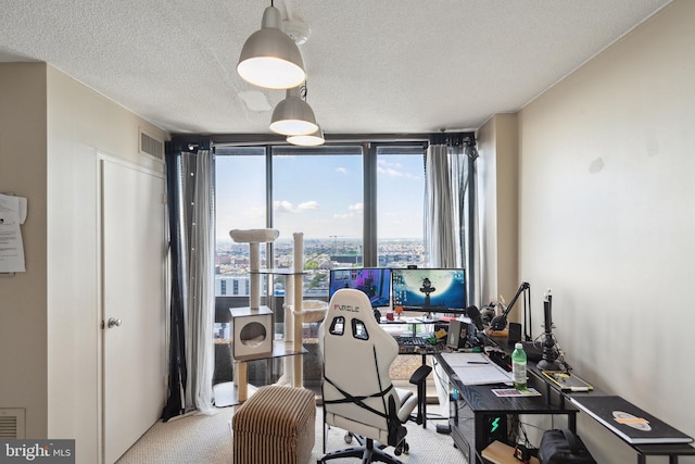 office space featuring a wall of windows, carpet flooring, and a textured ceiling