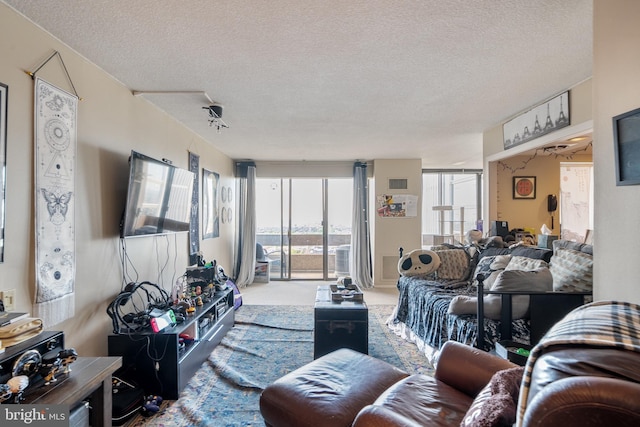 carpeted living room with a textured ceiling