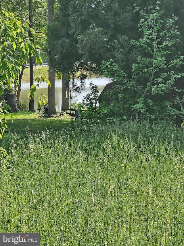 209 Remington Dr, Ruther Glen, VA 22546