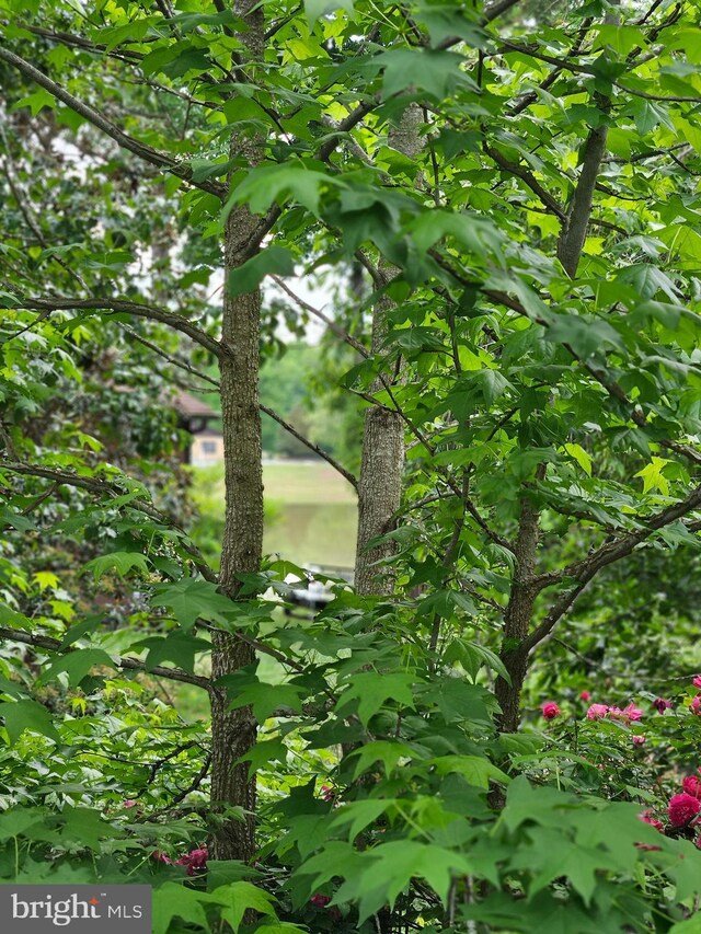 209 Remington Dr, Ruther Glen, VA 22546