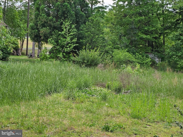 209 Remington Dr, Ruther Glen, VA 22546