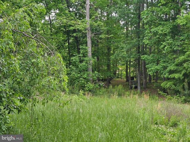 209 Remington Dr, Ruther Glen, VA 22546