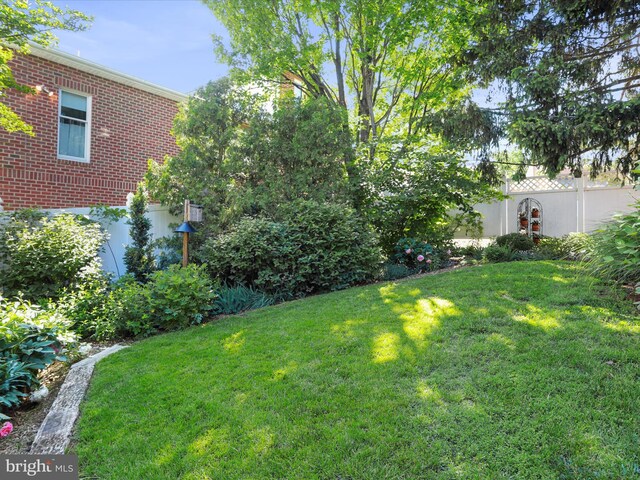 210 W 1st St, Front Royal, VA 22630 - view of yard
