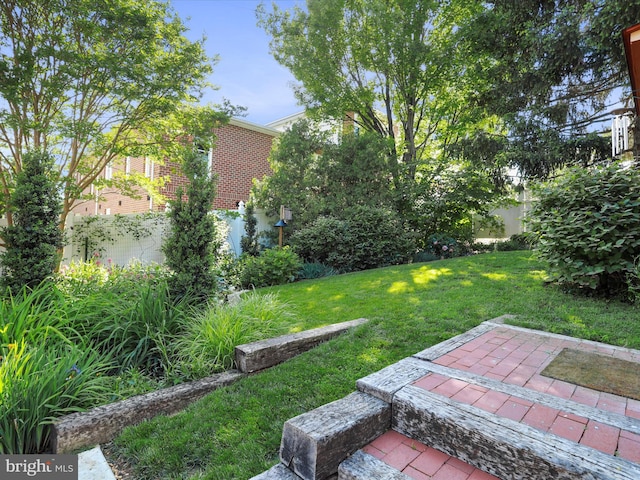 210 W 1st St, Front Royal, VA 22630 - view of green lawn