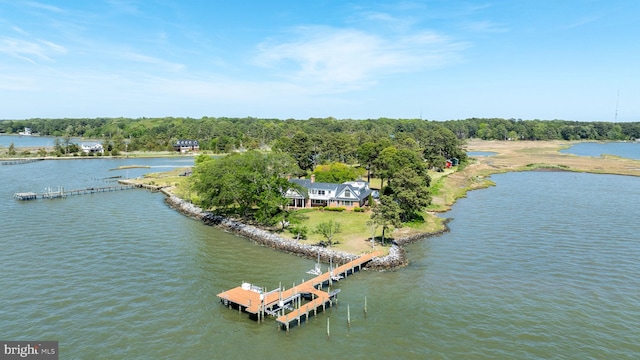6454 Carmines Island Ln, Hayes, VA 23072 - aerial view of a nearby body of water