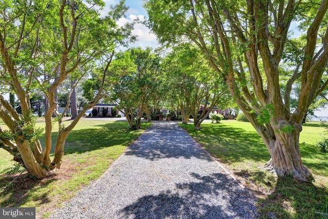 6454 Carmines Island Ln, Hayes, VA 23072 - view of dirt / gravel driveway