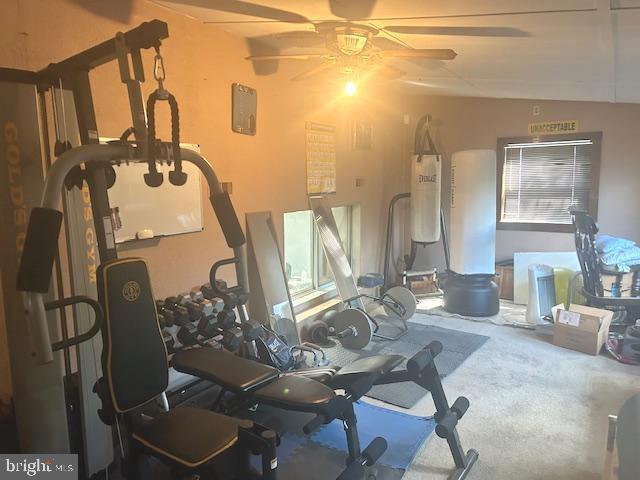 workout area featuring ceiling fan and carpet