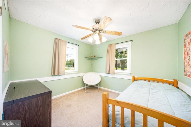 4115 Grandview Rd, Hanover, PA 17331 - bedroom featuring multiple windows, carpet flooring, and baseboards