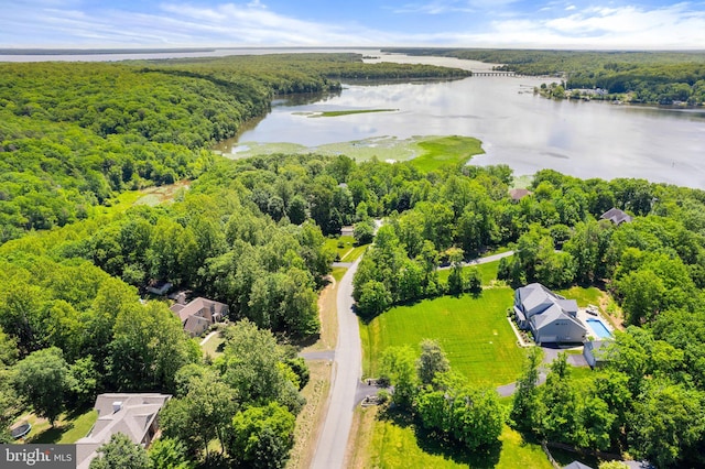 drone / aerial view of a large body of water and a forest