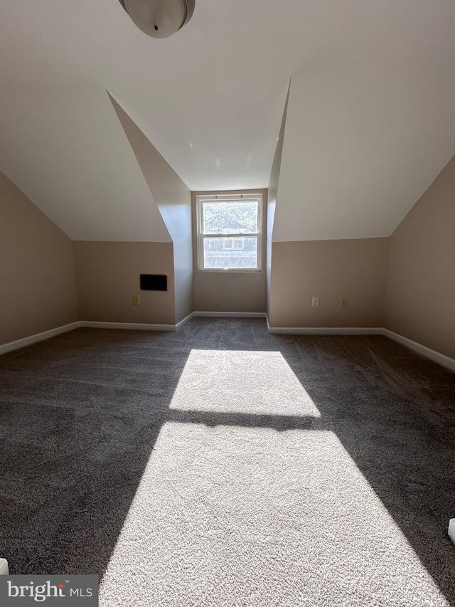 520 Birch St, Reading, PA 19604 - bonus room with carpet floors, baseboards, and vaulted ceiling