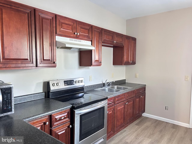 520 Birch St, Reading, PA 19604 - kitchen with under cabinet range hood, stainless steel appliances, a sink, light wood-style floors, and reddish brown cabinets