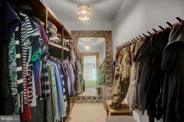 view of walk in closet