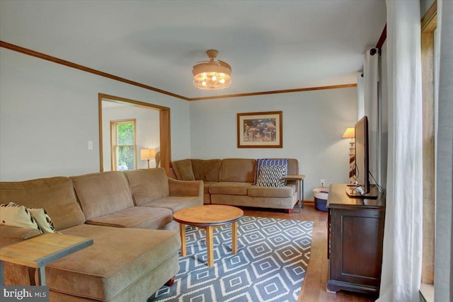 living area featuring wood finished floors and ornamental molding