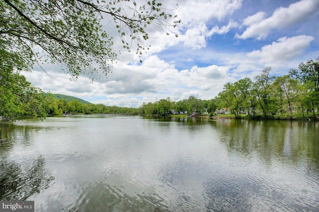 water view with a forest
