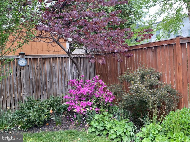 104 E Oxford Ave, Alexandria, VA 22301 - view of yard with fence
