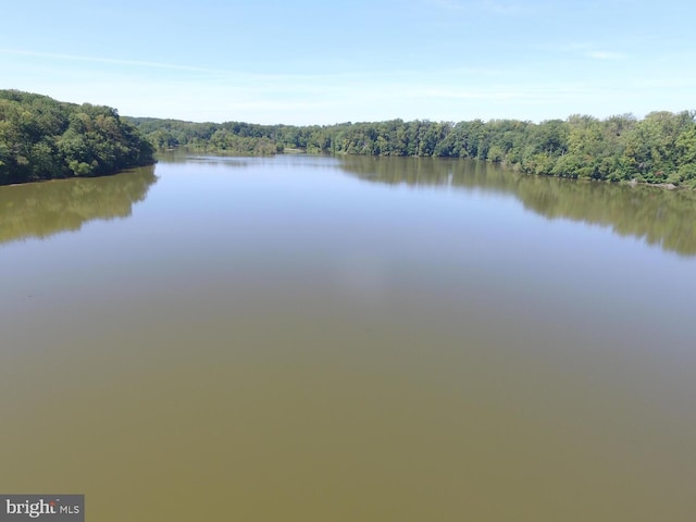 water view with a forest