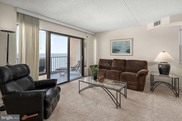 11000 Coastal Hwy Unit 1211, Ocean City, MD 21842 - living area with light colored carpet, a water view, and a textured ceiling